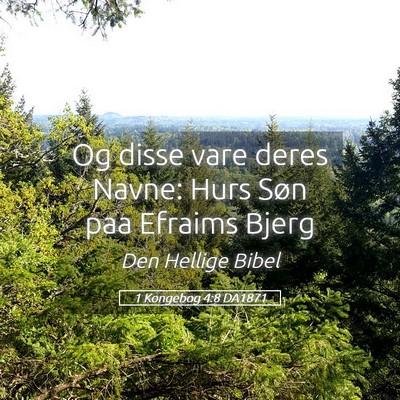 Picture 05 - 1 Kongebog 4:8 DA1871 - Og disse vare deres Navne: Hurs Søn paa Efraims - Bible Verse Picture