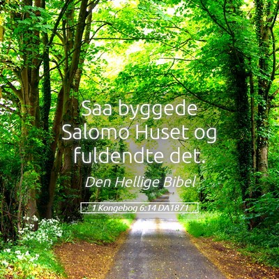 Picture 05 - 1 Kongebog 6:14 DA1871 - Saa byggede Salomo Huset og fuldendte - Bible Verse Picture