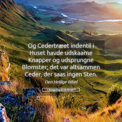 Picture 05 - 1 Kongebog 6:18 DA1871 - Og Cedertræet indentil i Huset havde udskaarne - Bible Verse Picture