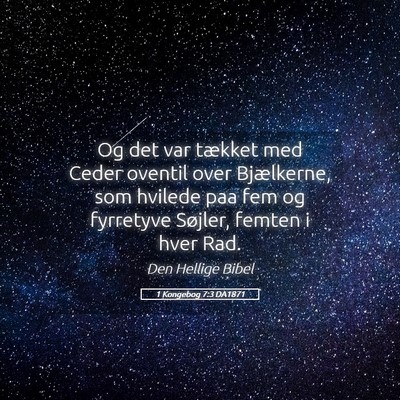 Picture 05 - 1 Kongebog 7:3 DA1871 - Og det var tækket med Ceder oventil over - Bible Verse Picture