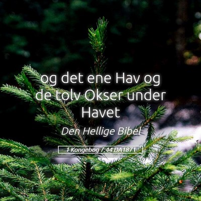 Picture 05 - 1 Kongebog 7:44 DA1871 - og det ene Hav og de tolv Okser under - Bible Verse Picture