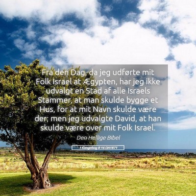 Picture 05 - 1 Kongebog 8:16 DA1871 - Fra den Dag, da jeg udførte mit Folk Israel at - Bible Verse Picture