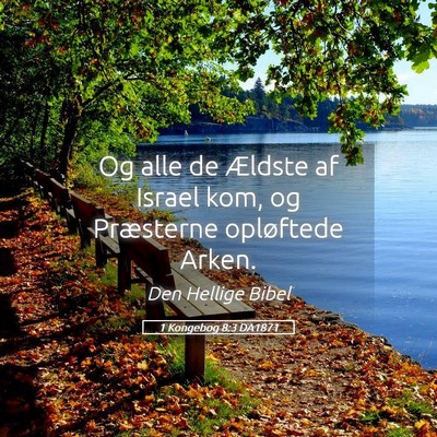 Picture 05 - 1 Kongebog 8:3 DA1871 - Og alle de Ældste af Israel kom, og Præsterne - Bible Verse Picture