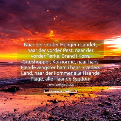 Picture 05 - 1 Kongebog 8:37 DA1871 - Naar der vorder Hunger i Landet, naar der vorder - Bible Verse Picture
