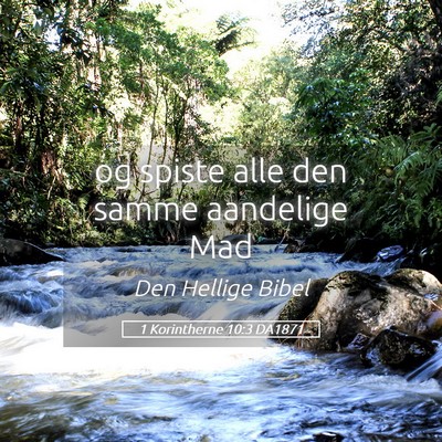 Picture 05 - 1 Korintherne 10:3 DA1871 - og spiste alle den samme aandelige - Bible Verse Picture