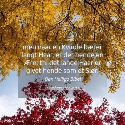 Picture 05 - 1 Korintherne 11:15 DA1871 - men naar en Kvinde bærer langt Haar, er det - Bible Verse Picture