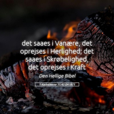 Picture 05 - 1 Korintherne 15:43 DA1871 - det saaes i Vanære, det oprejses i Herlighed; - Bible Verse Picture