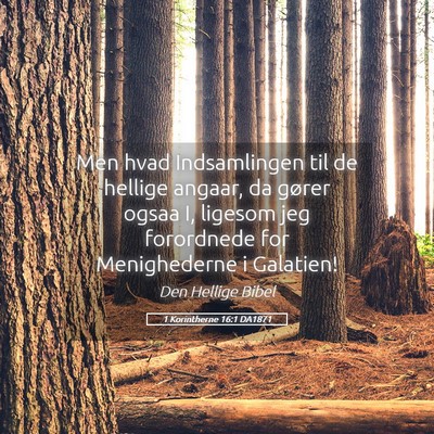 Picture 05 - 1 Korintherne 16:1 DA1871 - Men hvad Indsamlingen til de hellige angaar, da - Bible Verse Picture
