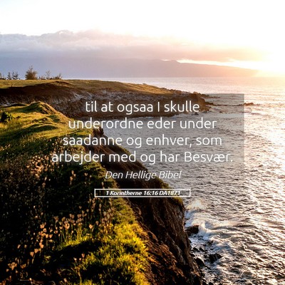 Picture 05 - 1 Korintherne 16:16 DA1871 - til at ogsaa I skulle underordne eder under - Bible Verse Picture