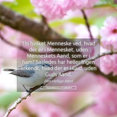 Picture 05 - 1 Korintherne 2:11 DA1871 - Thi hvilket Menneske ved, hvad der er i - Bible Verse Picture