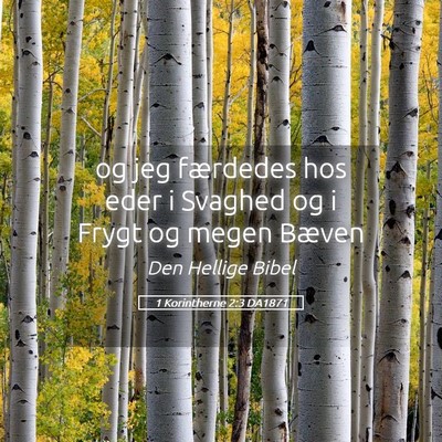 Picture 05 - 1 Korintherne 2:3 DA1871 - og jeg færdedes hos eder i Svaghed og i Frygt og - Bible Verse Picture