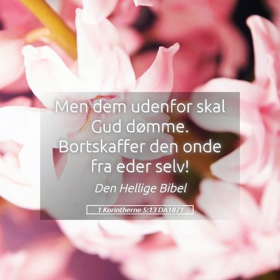 Picture 05 - 1 Korintherne 5:13 DA1871 - Men dem udenfor skal Gud dømme. Bortskaffer den - Bible Verse Picture
