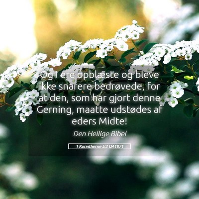 Picture 05 - 1 Korintherne 5:2 DA1871 - Og I ere opblæste og bleve ikke snarere - Bible Verse Picture