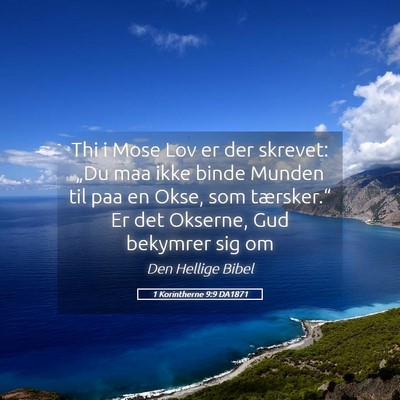 Picture 05 - 1 Korintherne 9:9 DA1871 - Thi i Mose Lov er der skrevet: „Du maa ikke - Bible Verse Picture