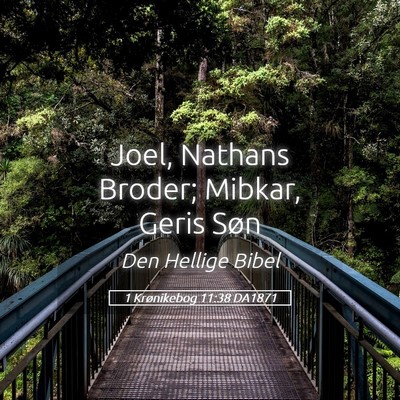 Picture 05 - 1 Krønikebog 11:38 DA1871 - Joel, Nathans Broder; Mibkar, Geris - Bible Verse Picture
