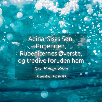 Picture 05 - 1 Krønikebog 11:42 DA1871 - Adina, Sisas Søn, Rubeniten, Rubeniternes - Bible Verse Picture
