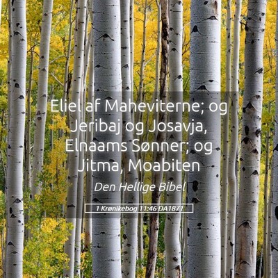 Picture 05 - 1 Krønikebog 11:46 DA1871 - Eliel af Maheviterne; og Jeribaj og Josavja, - Bible Verse Picture