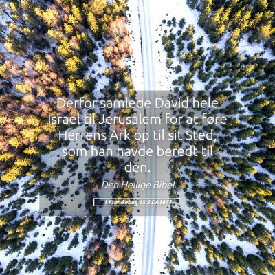 Picture 05 - 1 Krønikebog 15:3 DA1871 - Derfor samlede David hele Israel til Jerusalem - Bible Verse Picture