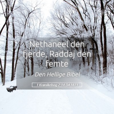 Picture 05 - 1 Krønikebog 2:14 DA1871 - Nethaneel den fjerde, Raddaj den - Bible Verse Picture