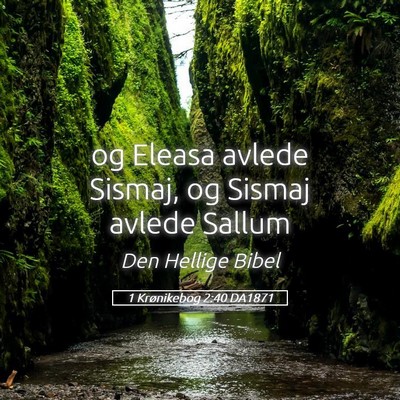 Picture 05 - 1 Krønikebog 2:40 DA1871 - og Eleasa avlede Sismaj, og Sismaj avlede - Bible Verse Picture