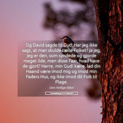Picture 05 - 1 Krønikebog 21:17 DA1871 - Og David sagde til Gud: Har jeg ikke sagt, at man - Bible Verse Picture