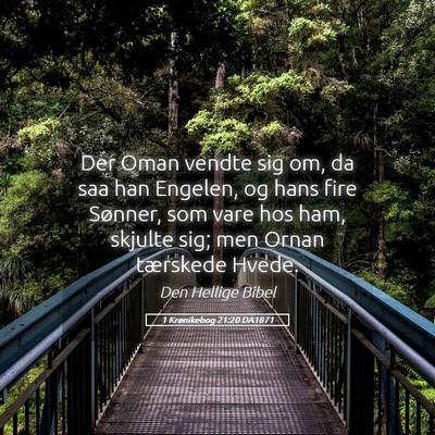 Picture 05 - 1 Krønikebog 21:20 DA1871 - Der Oman vendte sig om, da saa han Engelen, og - Bible Verse Picture