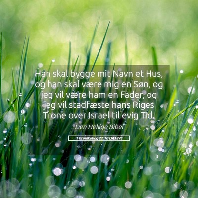Picture 05 - 1 Krønikebog 22:10 DA1871 - Han skal bygge mit Navn et Hus, og han skal være - Bible Verse Picture