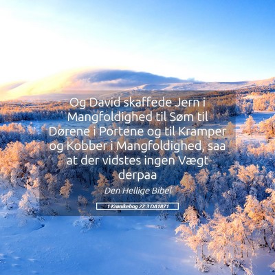 Picture 05 - 1 Krønikebog 22:3 DA1871 - Og David skaffede Jern i Mangfoldighed til Søm - Bible Verse Picture