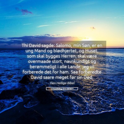 Picture 05 - 1 Krønikebog 22:5 DA1871 - Thi David sagde: Salomo, min Søn, er en ung Mand - Bible Verse Picture