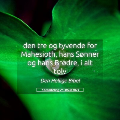 Picture 05 - 1 Krønikebog 25:30 DA1871 - den tre og tyvende for Mahesioth, hans Sønner og - Bible Verse Picture