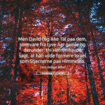 Picture 05 - 1 Krønikebog 27:23 DA1871 - Men David tog ikke Tal paa dem, som vare fra tyve - Bible Verse Picture