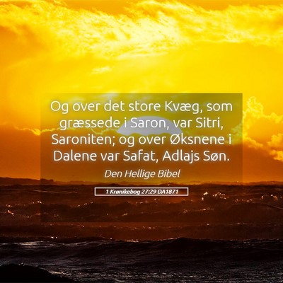 Picture 05 - 1 Krønikebog 27:29 DA1871 - Og over det store Kvæg, som græssede i Saron, - Bible Verse Picture
