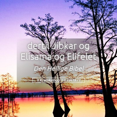 Picture 05 - 1 Krønikebog 3:6 DA1871 - dertil Jibkar og Elisama og - Bible Verse Picture