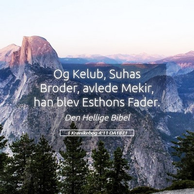 Picture 05 - 1 Krønikebog 4:11 DA1871 - Og Kelub, Suhas Broder, avlede Mekir, han blev - Bible Verse Picture