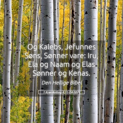 Picture 05 - 1 Krønikebog 4:15 DA1871 - Og Kalebs, Jefunnes Søns, Sønner vare: Iru, Ela - Bible Verse Picture