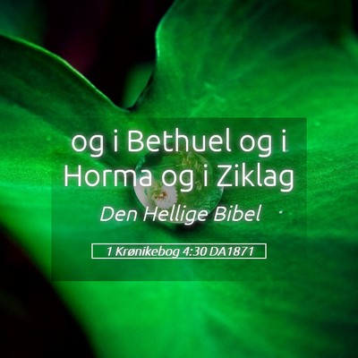 Picture 05 - 1 Krønikebog 4:30 DA1871 - og i Bethuel og i Horma og i - Bible Verse Picture