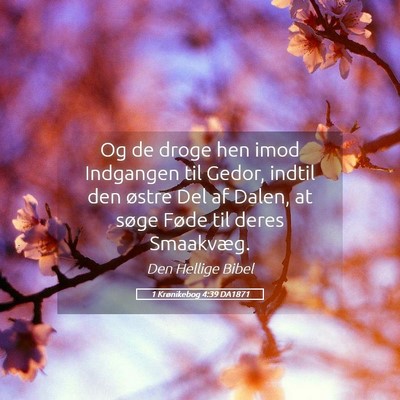 Picture 05 - 1 Krønikebog 4:39 DA1871 - Og de droge hen imod Indgangen til Gedor, indtil - Bible Verse Picture
