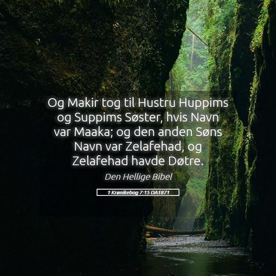Picture 05 - 1 Krønikebog 7:15 DA1871 - Og Makir tog til Hustru Huppims og Suppims - Bible Verse Picture