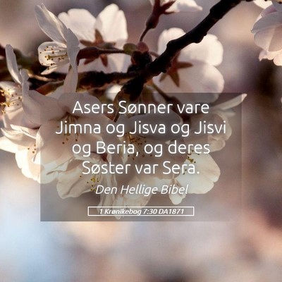 Picture 05 - 1 Krønikebog 7:30 DA1871 - Asers Sønner vare Jimna og Jisva og Jisvi og - Bible Verse Picture