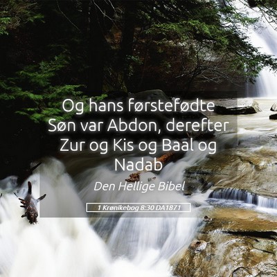 Picture 05 - 1 Krønikebog 8:30 DA1871 - Og hans førstefødte Søn var Abdon, derefter - Bible Verse Picture
