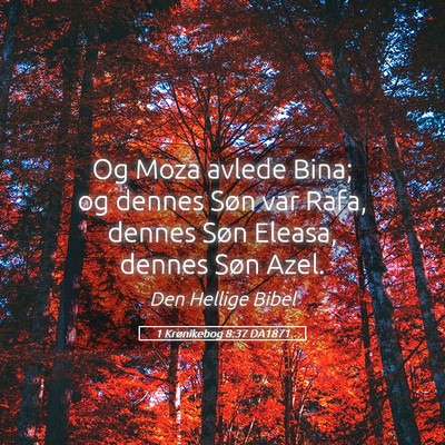 Picture 05 - 1 Krønikebog 8:37 DA1871 - Og Moza avlede Bina; og dennes Søn var Rafa, - Bible Verse Picture