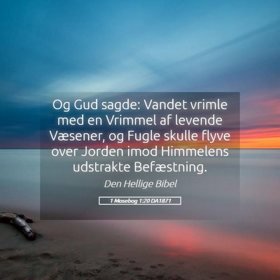 Picture 05 - 1 Mosebog 1:20 DA1871 - Og Gud sagde: Vandet vrimle med en Vrimmel af - Bible Verse Picture