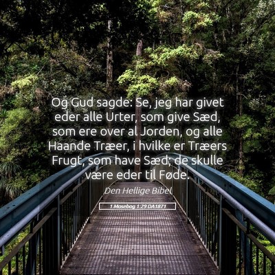 Picture 05 - 1 Mosebog 1:29 DA1871 - Og Gud sagde: Se, jeg har givet eder alle Urter, - Bible Verse Picture