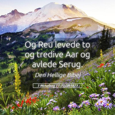 Picture 05 - 1 Mosebog 11:20 DA1871 - Og Reu levede to og tredive Aar og avlede - Bible Verse Picture