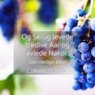 Picture 05 - 1 Mosebog 11:22 DA1871 - Og Serug levede tredive Aar og avlede - Bible Verse Picture