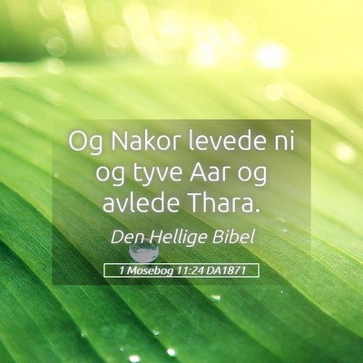 Picture 05 - 1 Mosebog 11:24 DA1871 - Og Nakor levede ni og tyve Aar og avlede - Bible Verse Picture