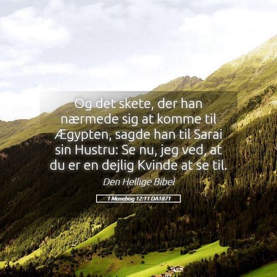 Picture 05 - 1 Mosebog 12:11 DA1871 - Og det skete, der han nærmede sig at komme til - Bible Verse Picture