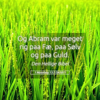 Picture 05 - 1 Mosebog 13:2 DA1871 - Og Abram var meget rig paa Fæ, paa Sølv og paa - Bible Verse Picture