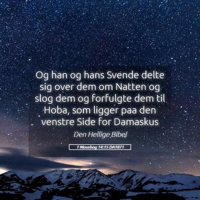 Picture 05 - 1 Mosebog 14:15 DA1871 - Og han og hans Svende delte sig over dem om - Bible Verse Picture