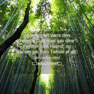 Picture 05 - 1 Mosebog 14:20 DA1871 - og velsignet være den højeste Gud, som gav dine - Bible Verse Picture
